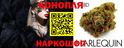 каннабис Гусиноозёрск