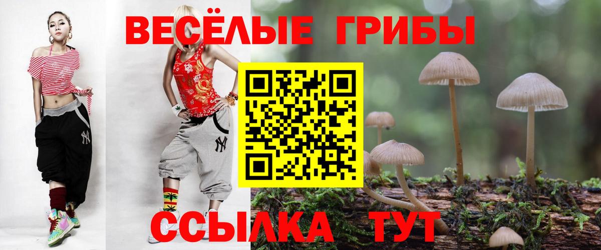 Псилоцибиновые грибы мухоморы  Вход с VPN  Луга 