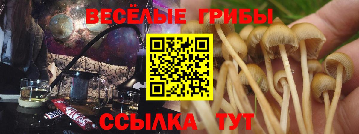 Галлюциногенные грибы прущие грибы Луга